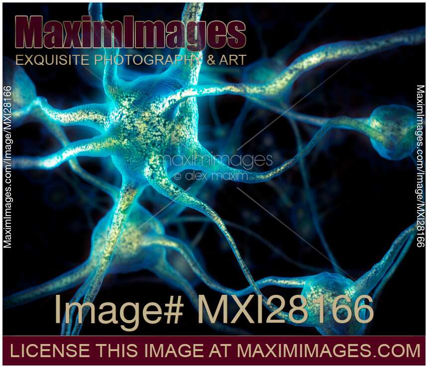 Neuron network Brain cells