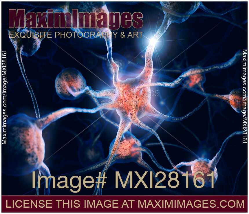 Neurons and neural connections Brain cells 3D illustration