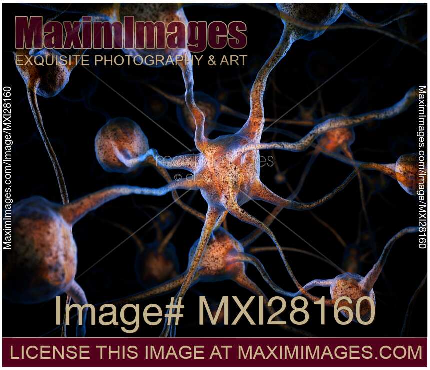 Neurons Brain cells scientific 3D illustration