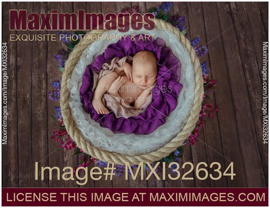 Newborn baby girl sleeping curled-up in a basket with purple fabric and flowers