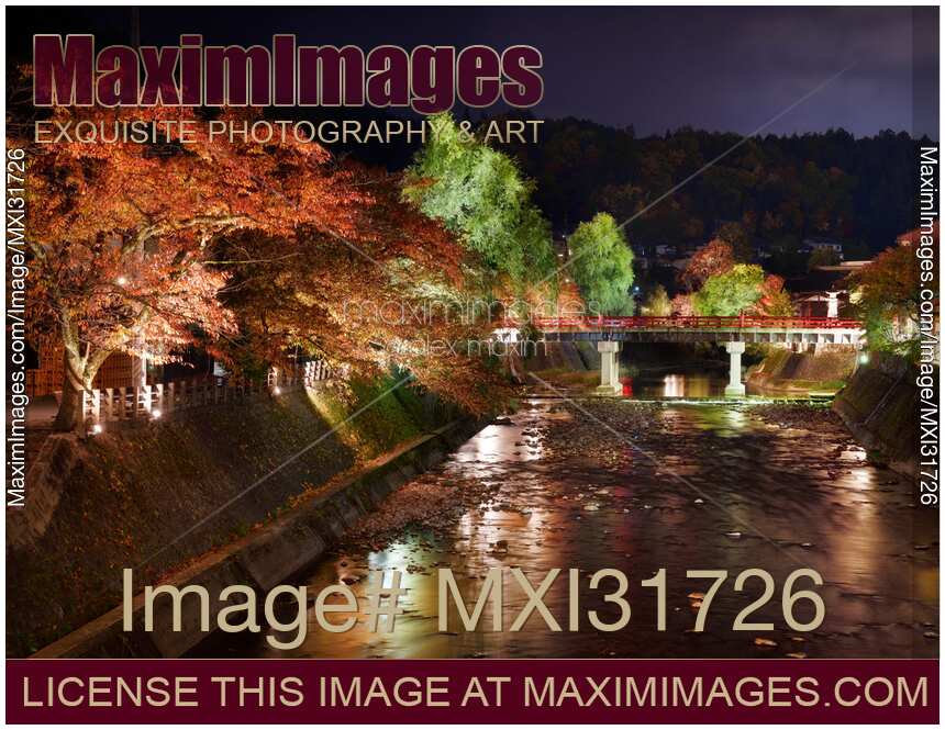 Nighttime autumn scenery of Miyagawa river in Takayama Japan with illuminated trees and Nakahashi bridge