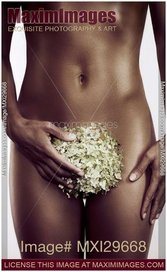 Nude black african woman body with white Hydrangea flower
