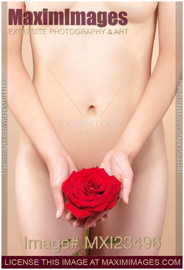 Nude Woman Body closeup with a Red Rose in her Hands
