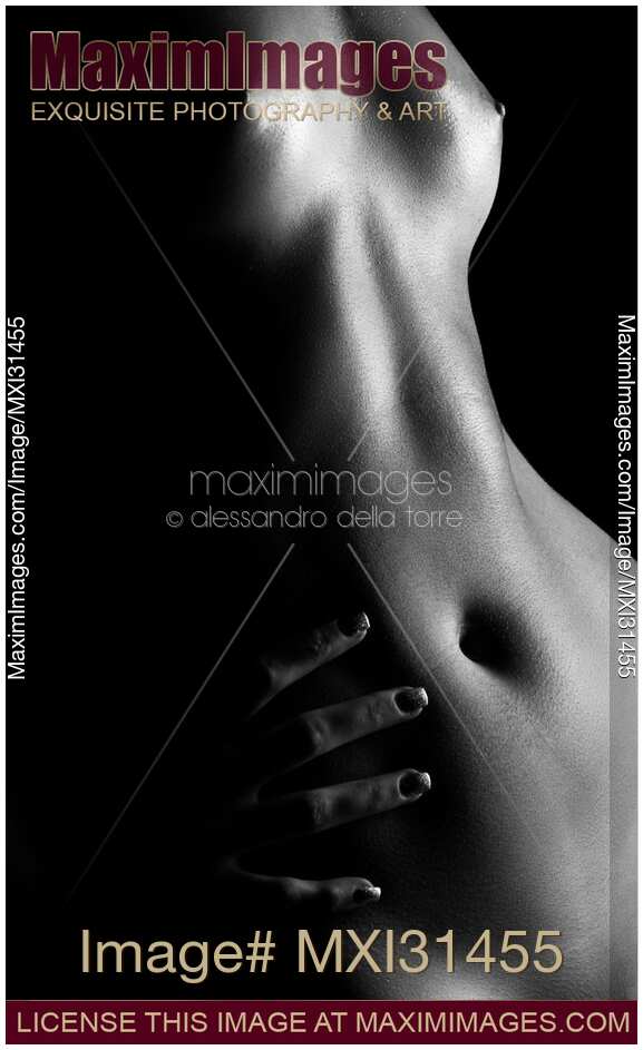 Nude woman body parts closeup of stomach and breasts