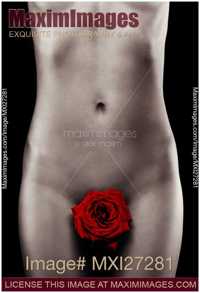 Nude Woman Body with a Red Rose