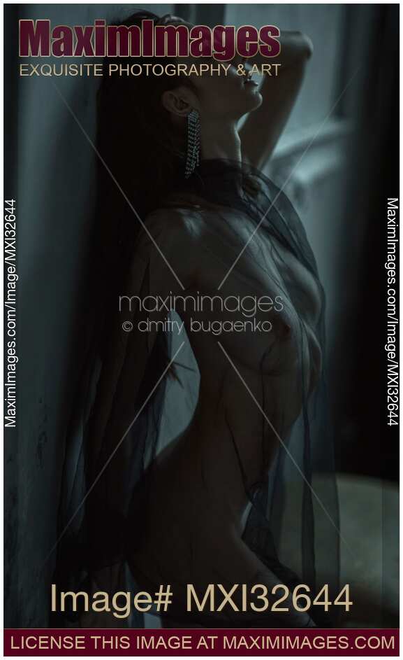 Nude woman leaning against a wall in a dark room her naked body covered with a sheer black scarf