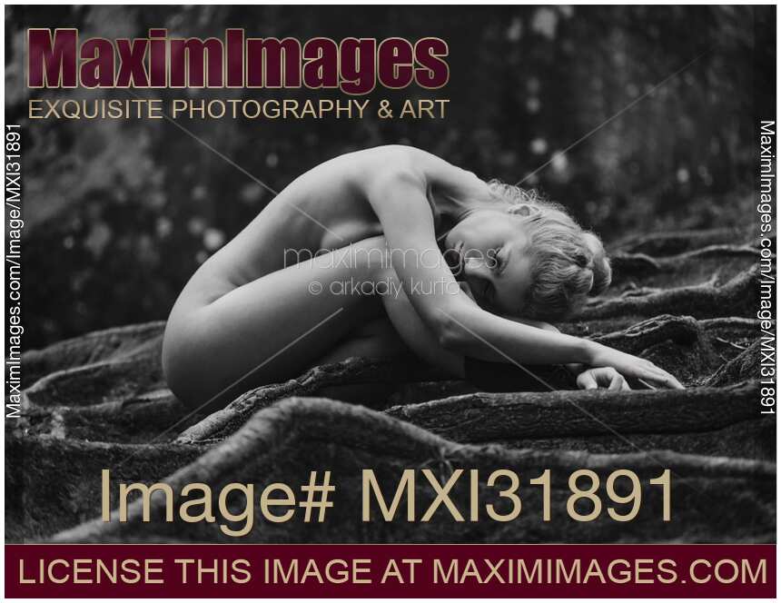 Nude woman lying curled up on the roots of a tree in forest