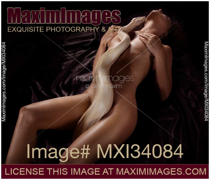 Nude woman making love intertwined with a large boa constrictor snake on her sensual naked body