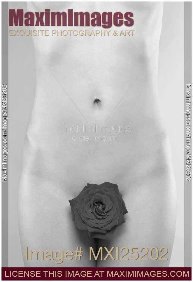 Nude Woman with a Rose Black and white