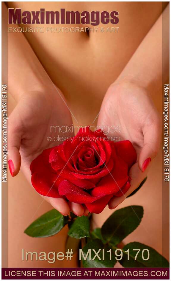 Nude woman with red rose in hands