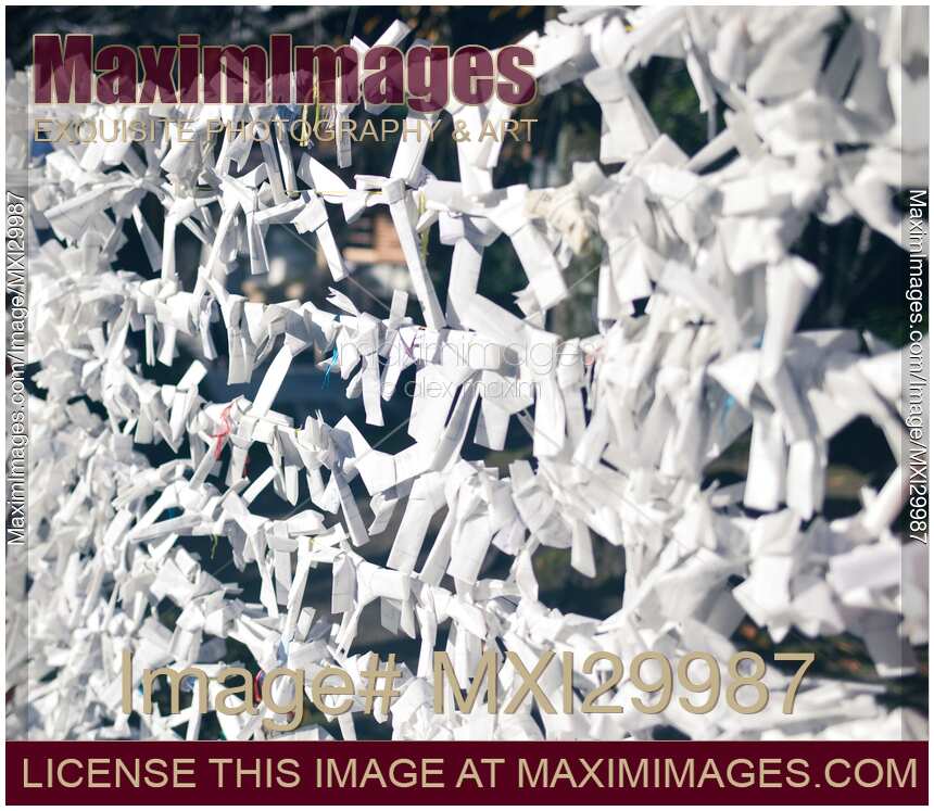 O-mikuji papers with fortune tied at a Shinto Shrine in Kyoto Japan