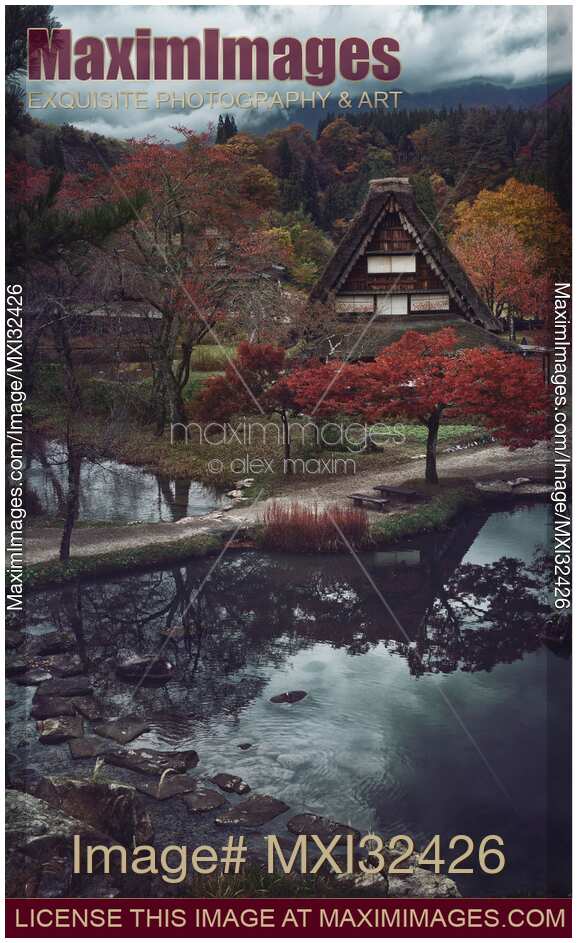 Old Japanese rural Gassho house in a peaceful autumn scenery with a pond and colorful trees Shirakawa-go village