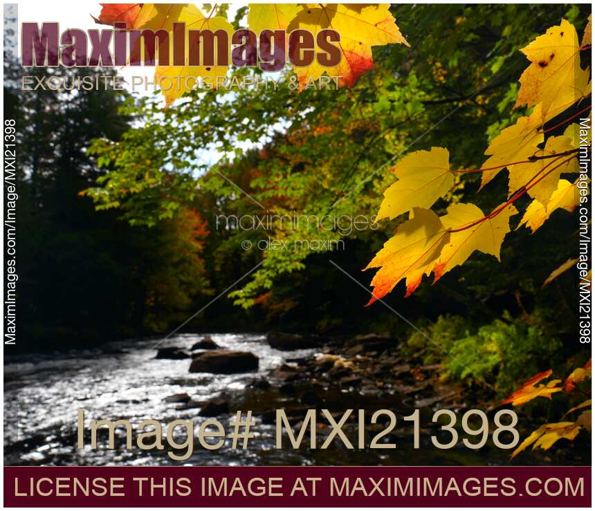 Ontario Autumn Scenery