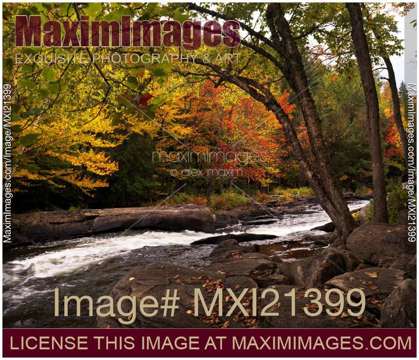 Ontario Autumn Scenery