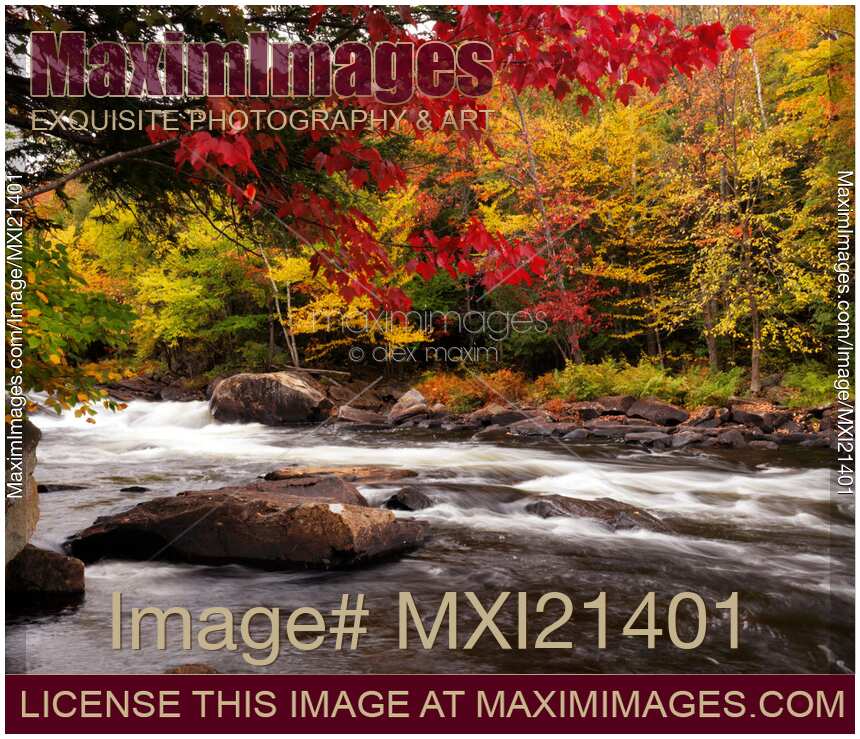 Ontario Autumn Scenery