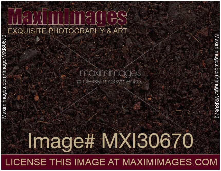 Organic potting soil mix closeup of texture