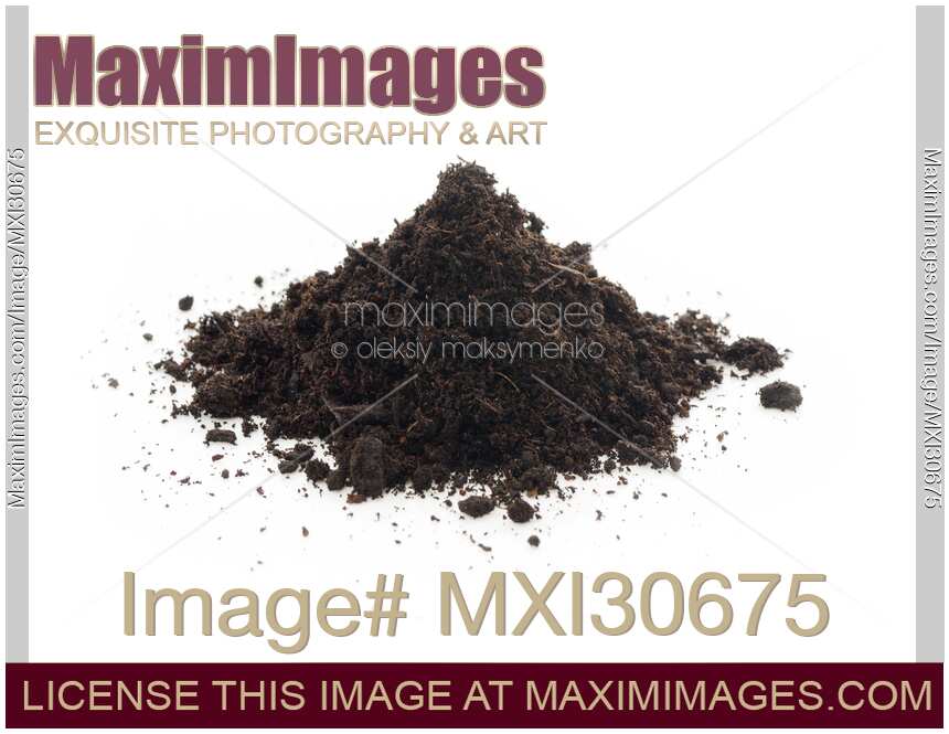 Organic potting soil mix closeup