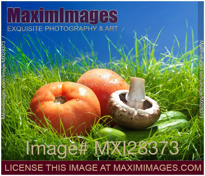 Organic vegetables artistic sunny still life