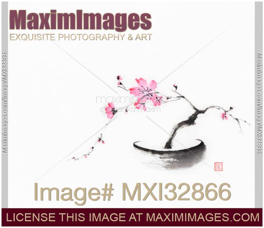 Oriental style painting of a pretty bonsai sakura tree with pink flowers in a pot