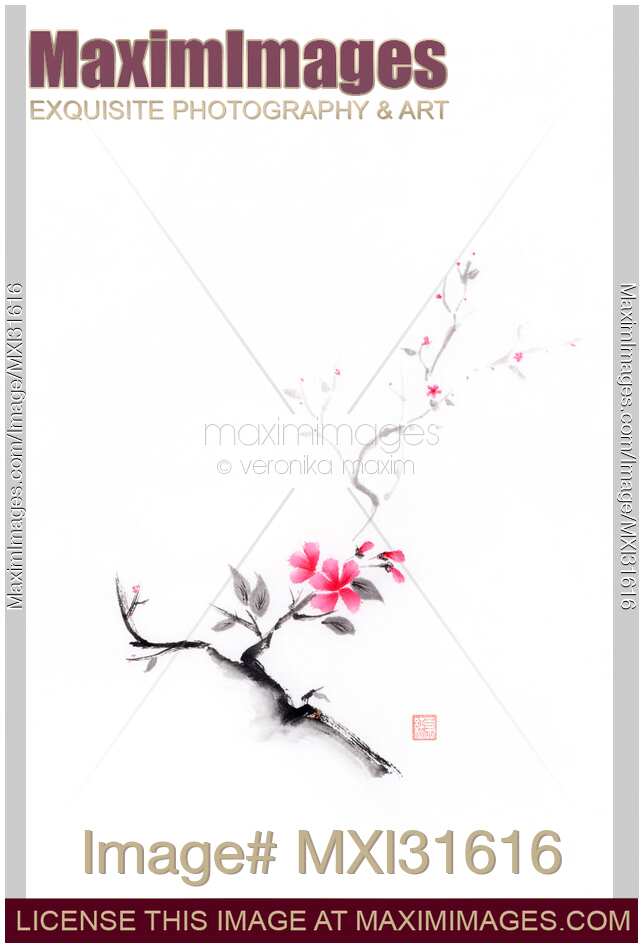 Oriental sumi-e ink painting of a sakura branch with pink flowers on white