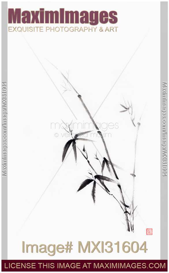 Oriental sumi-e painting of a young bamboo bush with leaves black on white