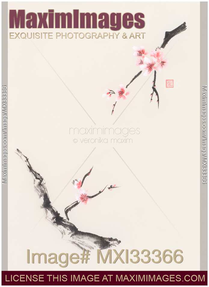 Oriental sumi-e painting of two blossoming Sakura tree branches reaching towards each other