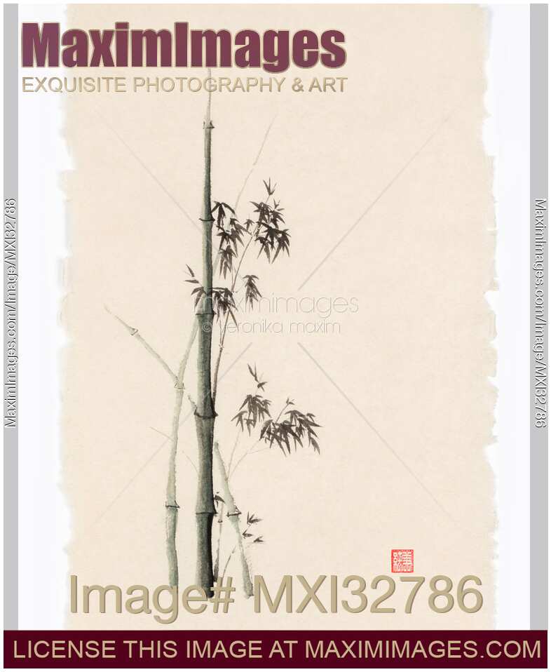 Oriental Zen sumi-e painting of a bamboo with green stalk on vintage natural rice paper
