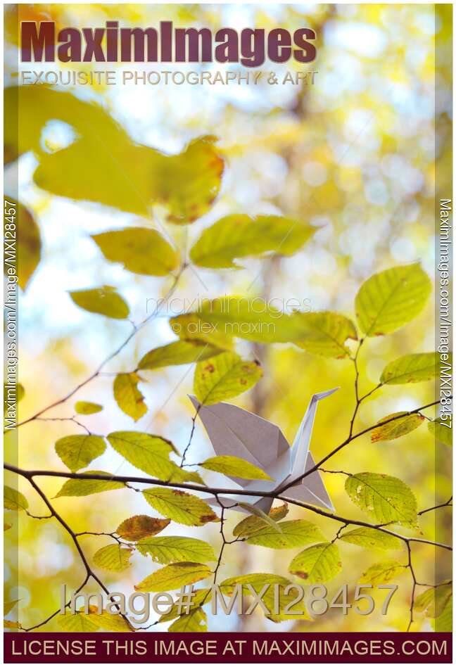 Origami paper crane in a tree in fall nature