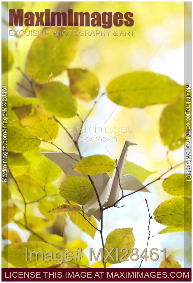 Origami paper crane in autumn nature