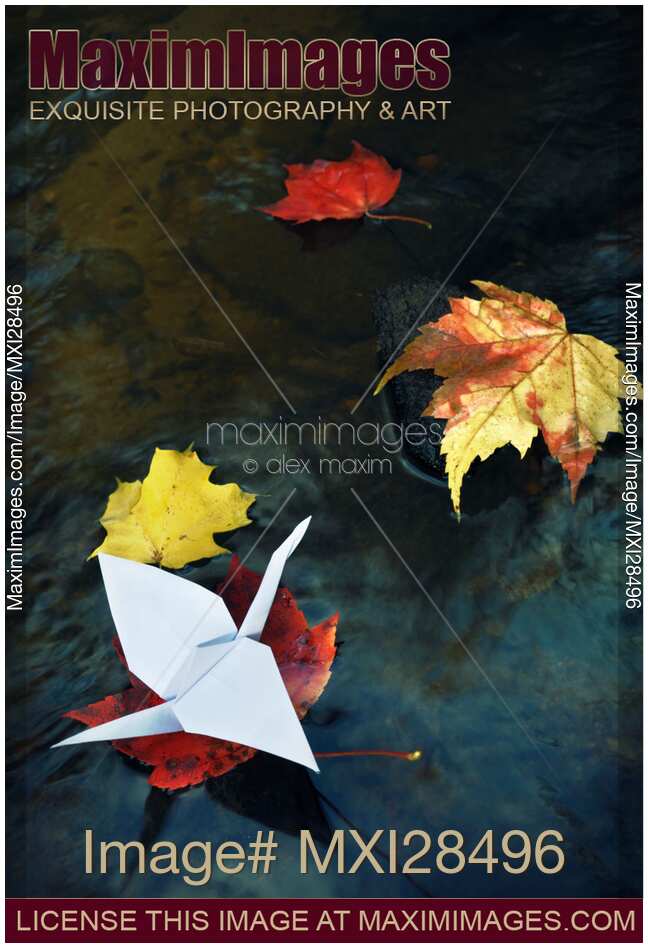 Origami paper crane on autumn leaf in a stream
