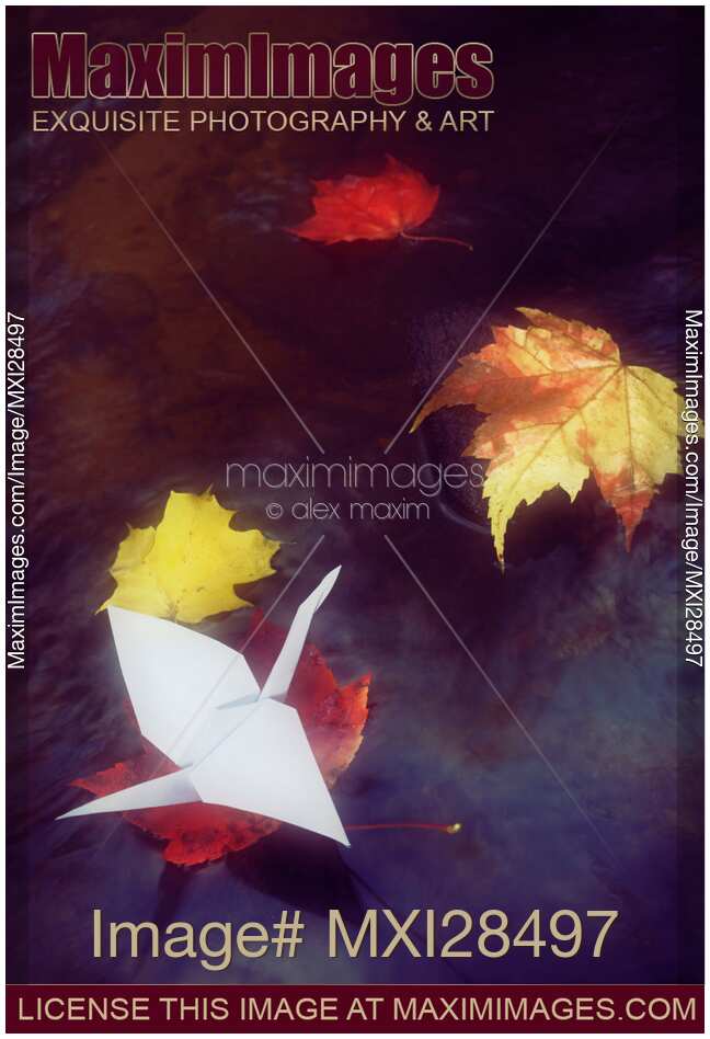 Origami paper crane on autumn leaf in river stream