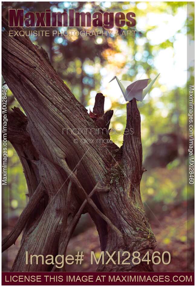 Origami paper crane sitting on dried tree branch