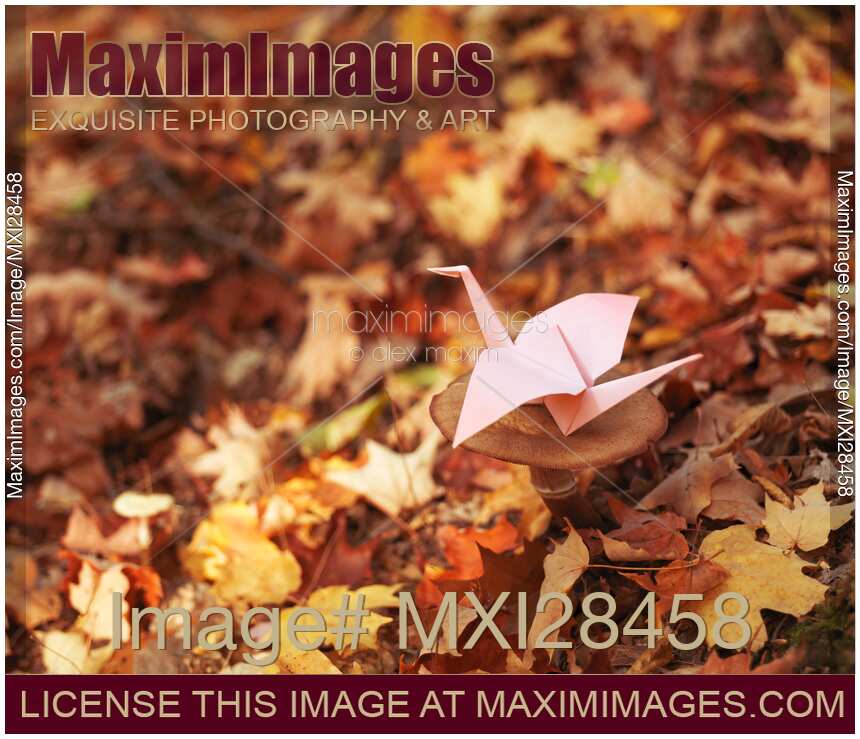 Origami paper crane sitting on mushroom in fall nature