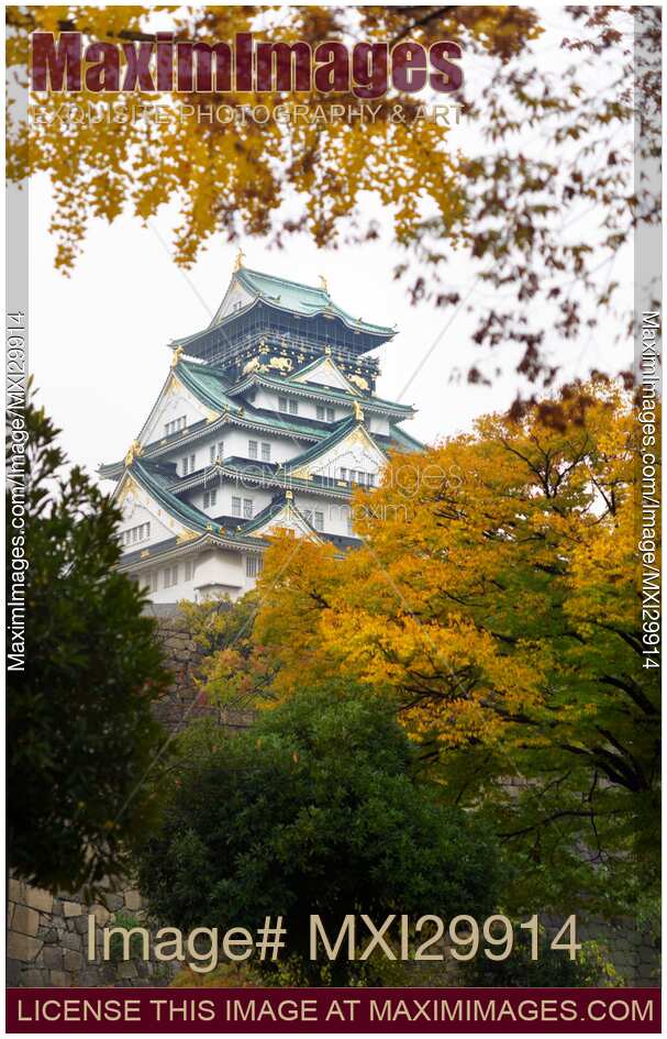 Osaka Castle behind yellow autumn trees