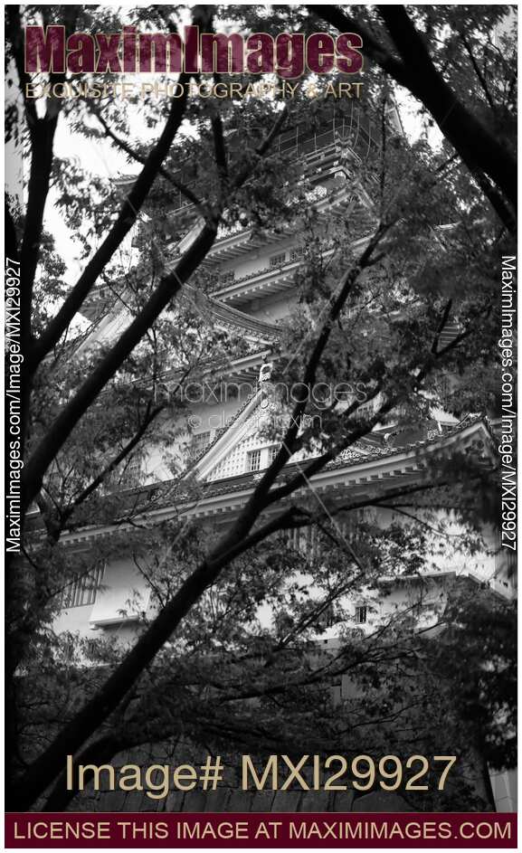Osaka Castle Osaka-jo behind tree leaves artistic abstract black and white scenery