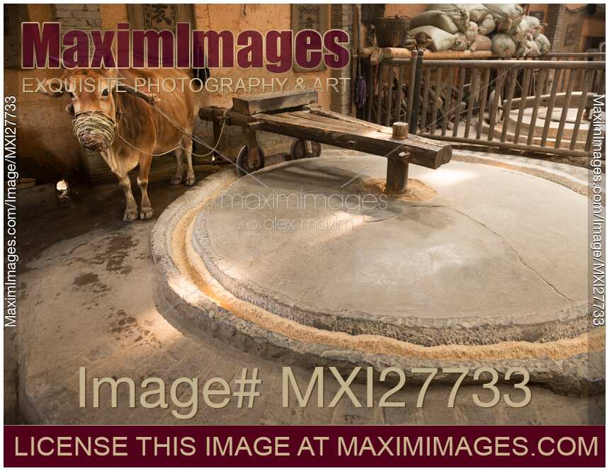 Ox powered grain mill