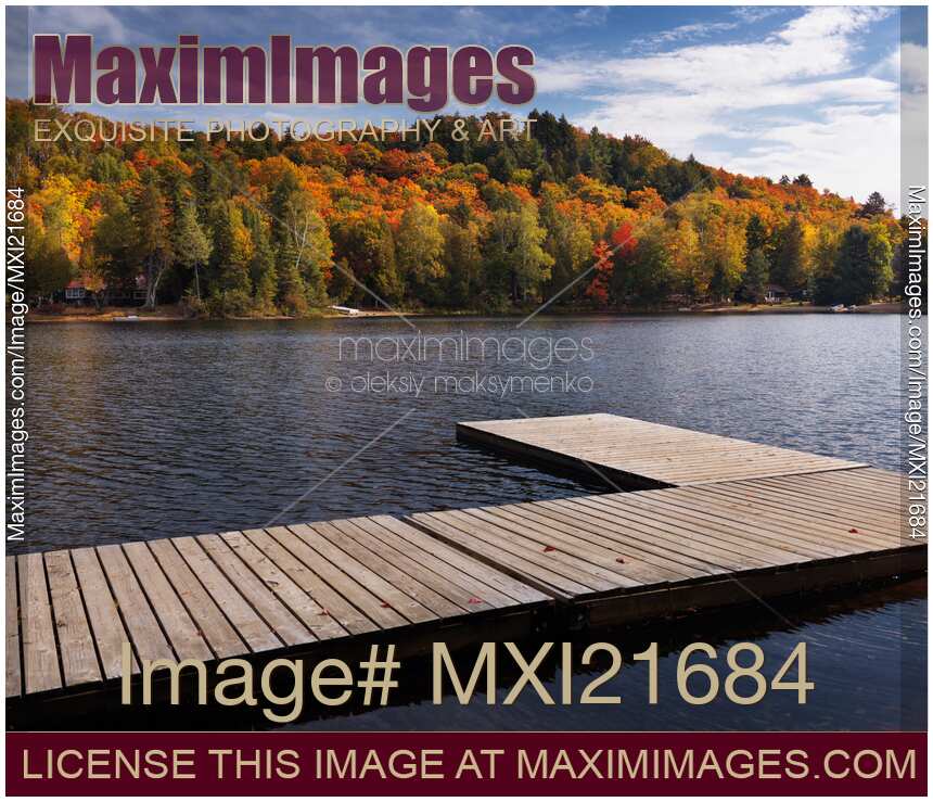 Oxtongue Lake Fall Nature Scenery