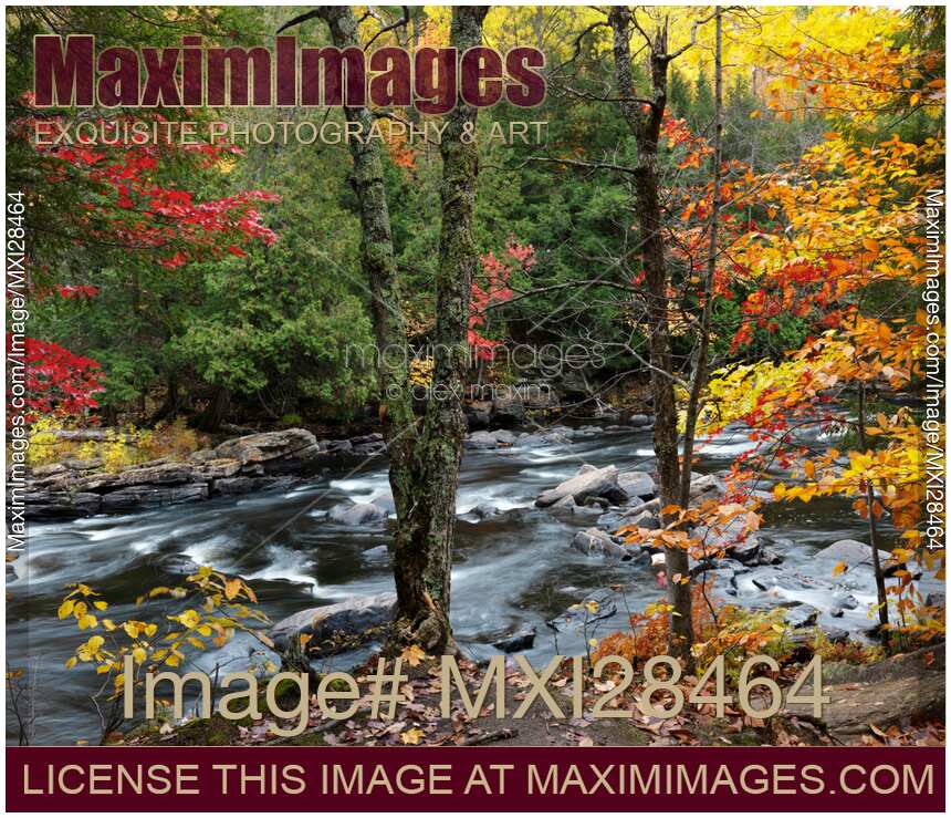 Oxtongue River Fall Nature Scenery