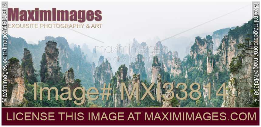 Panorama of Zhangjiajie National Forest Park with mountain spires rising from white fog