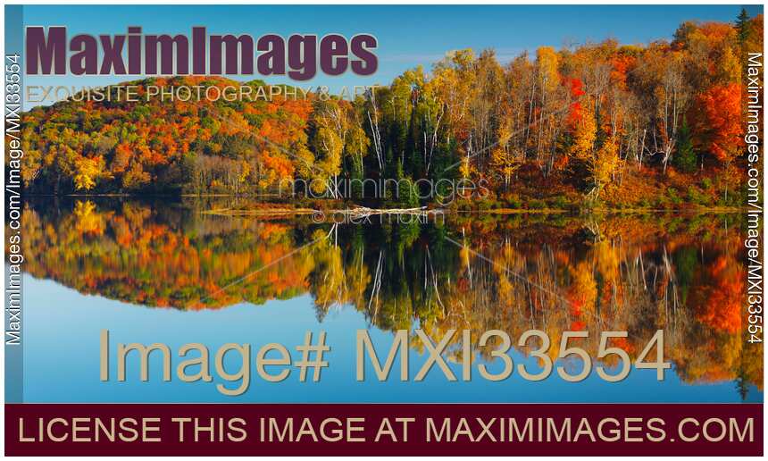 Panoramic autumn nature scenery of colorful forest reflecting in still water Muskoka Canada