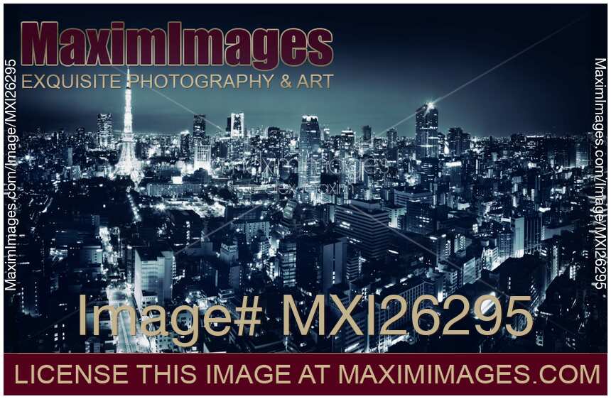 Panoramic city scenery of Tokyo and Tokyo tower Black and white