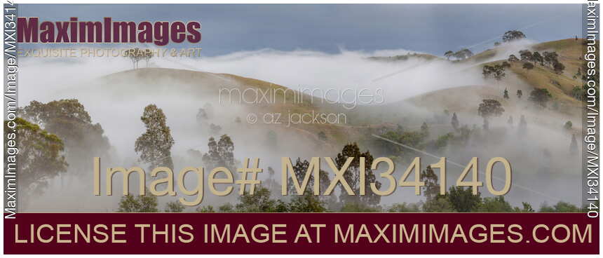 Panoramic scenery of a misty landscape at Hunter Valley, Australia