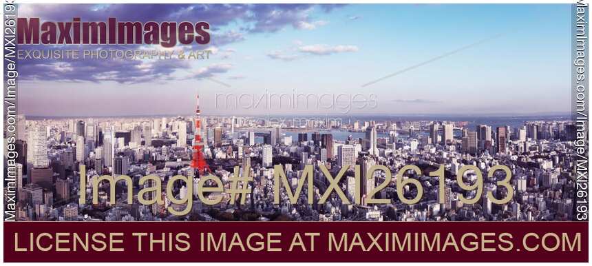 Panoramic scenery of Tokyo city and tower