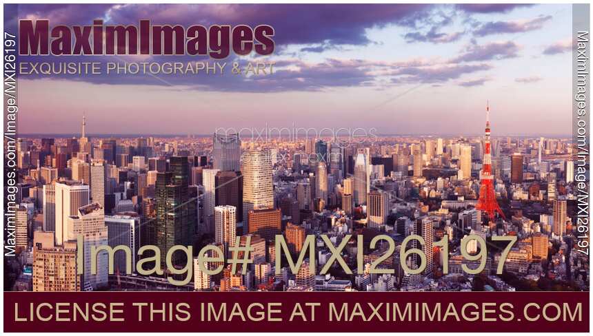 Panoramic scenery of Tokyo tower in cityscape