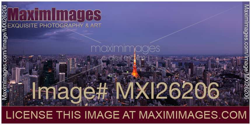 Panoramic twilight scenery of Tokyo tower and cityscape