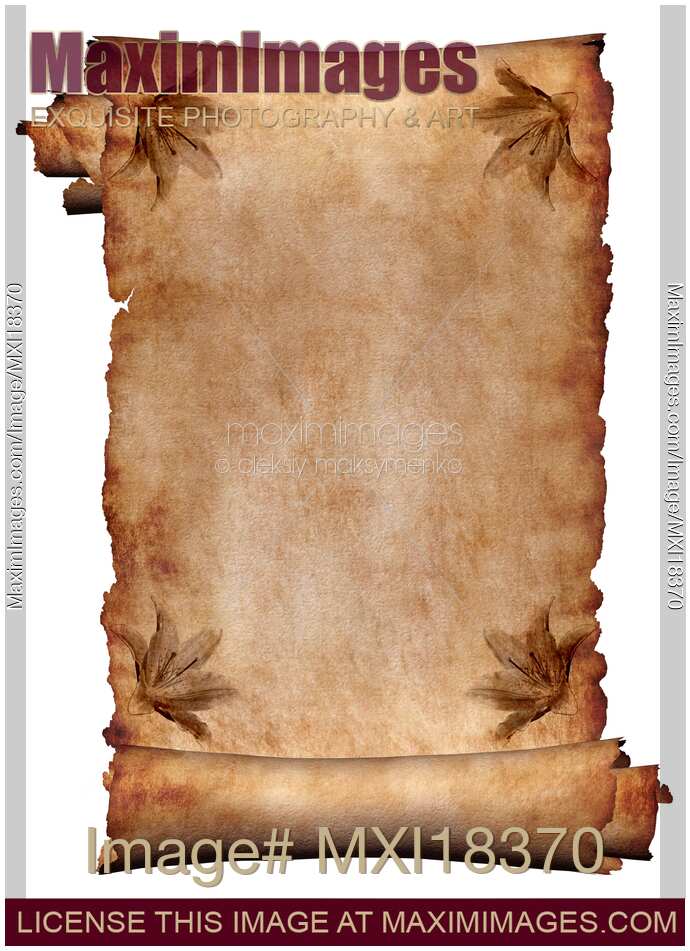 Photo of Roll Of Rustic Parchment Paper Background