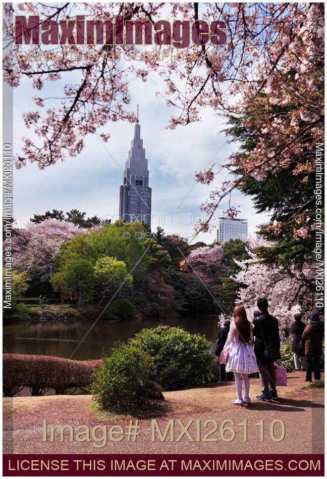 People at Shinjuku Gyoen National Garden during cherry blossom