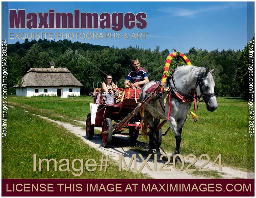 People in a Horse and Carriage Ride in Countryside