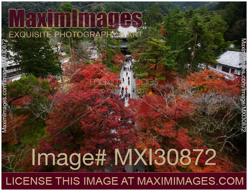People walking to the Hatto hall of Nanzen-ji Zen Buddhist temple in Kyoto autumn scenery