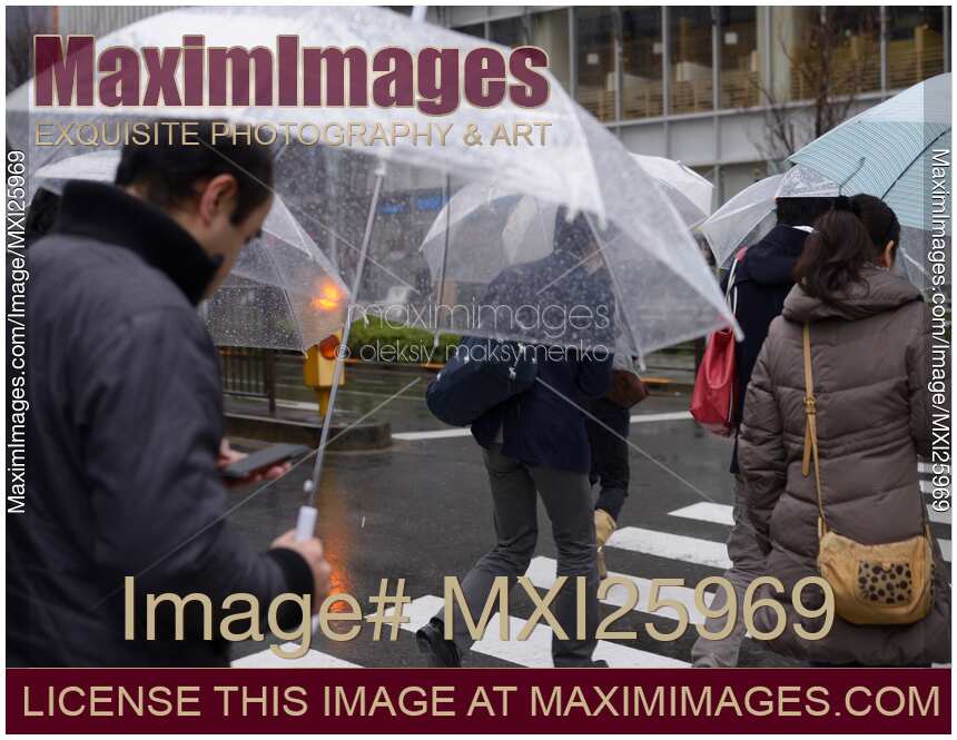 People with umbrellas crossing street in rain